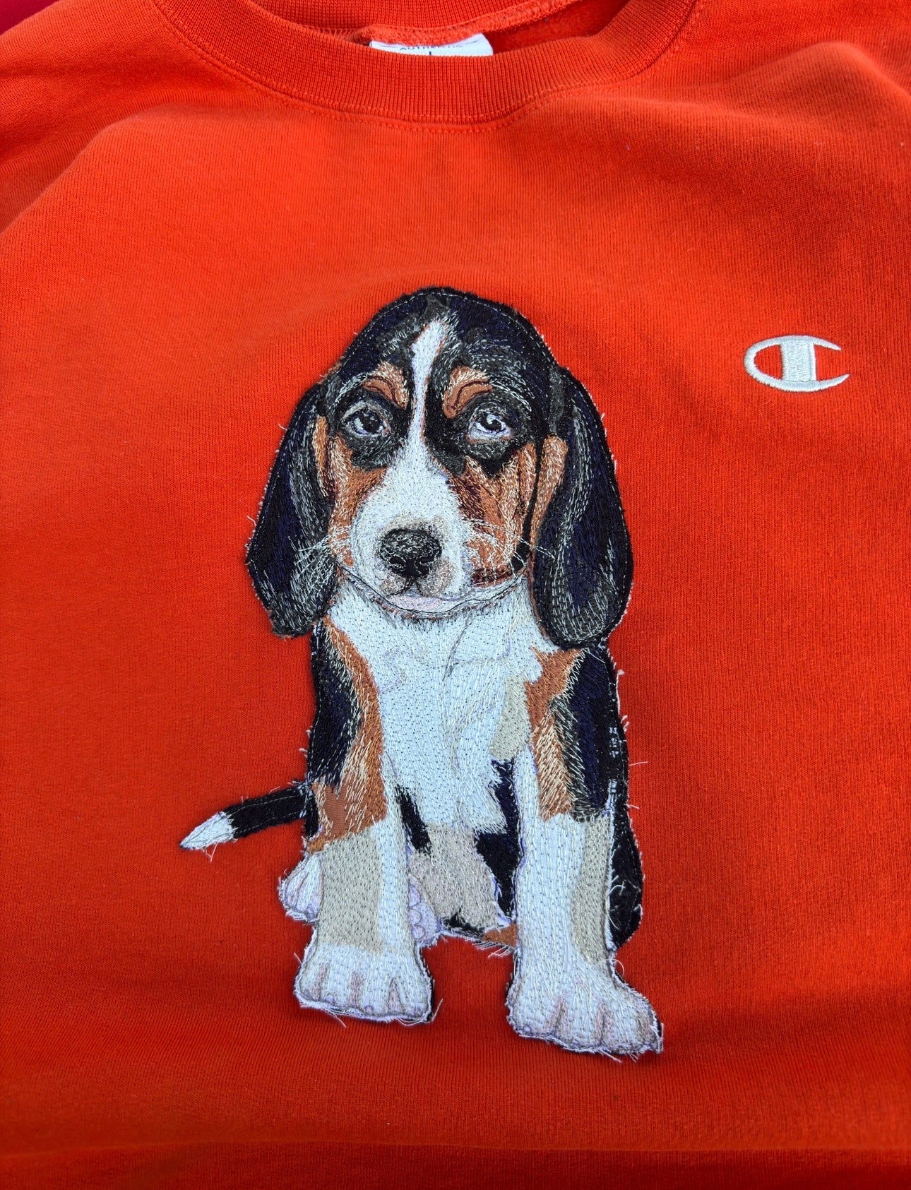 SMOKEY - TENNESSEE VOLUNTEERS