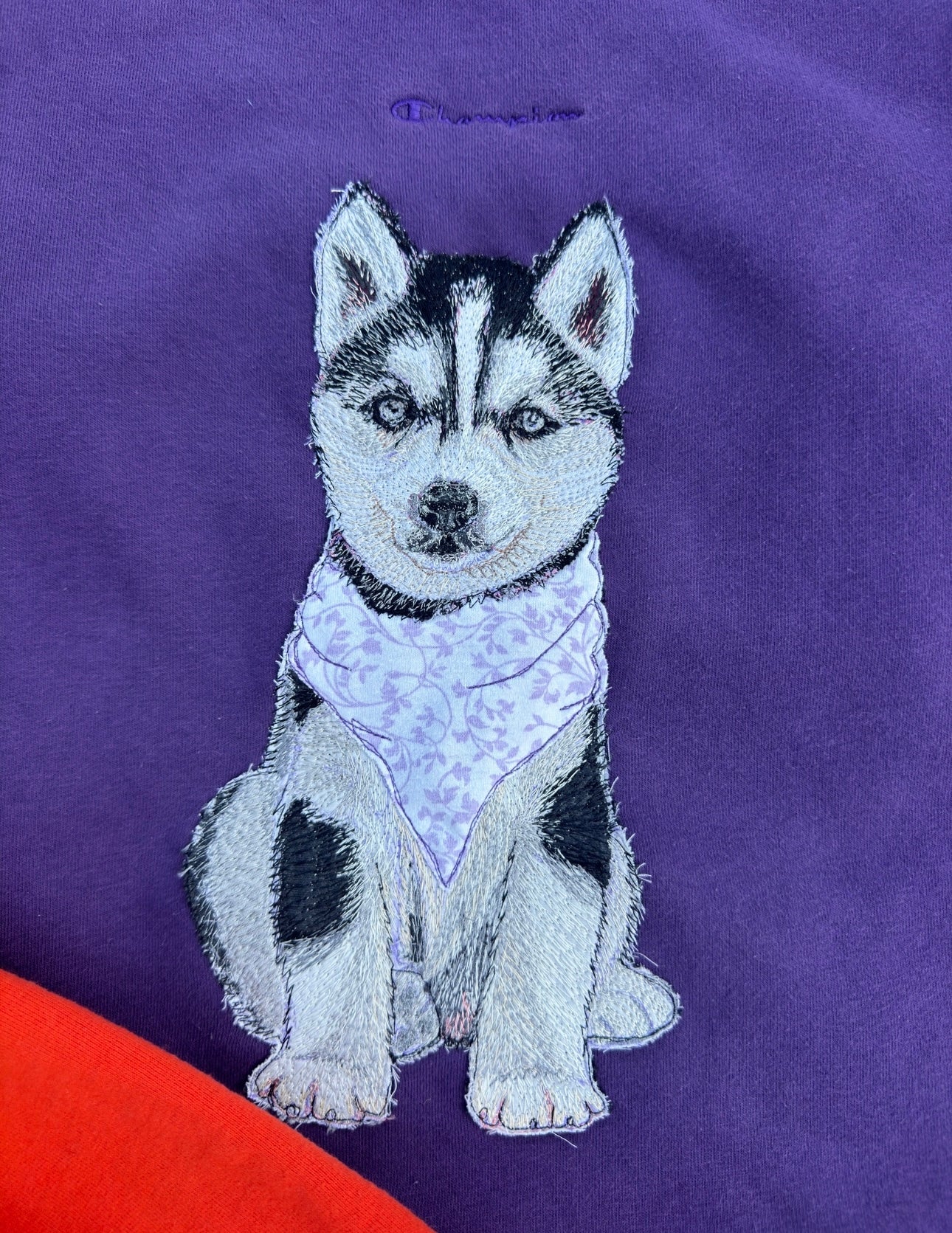DUBS - WASHINGTON HUSKIES