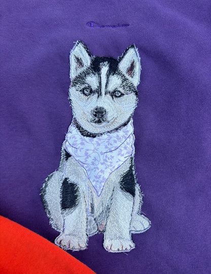 DUBS - WASHINGTON HUSKIES