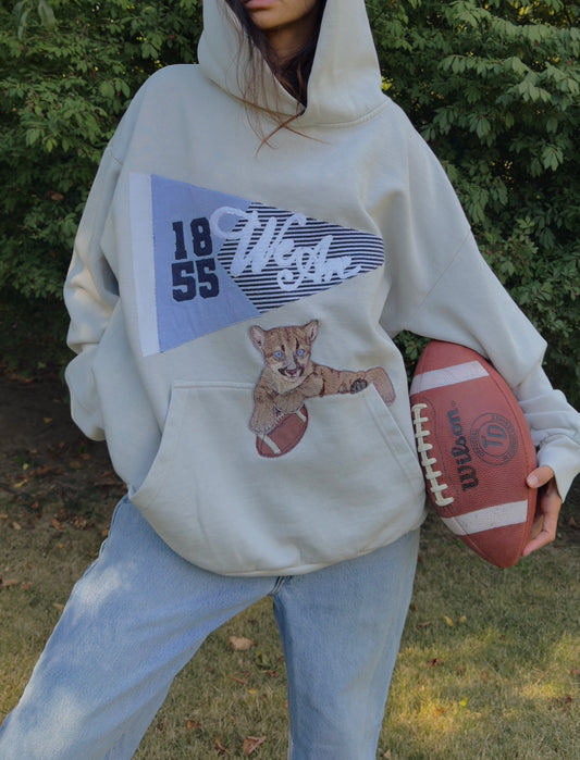NITTANY LION PENNANT HOODIE