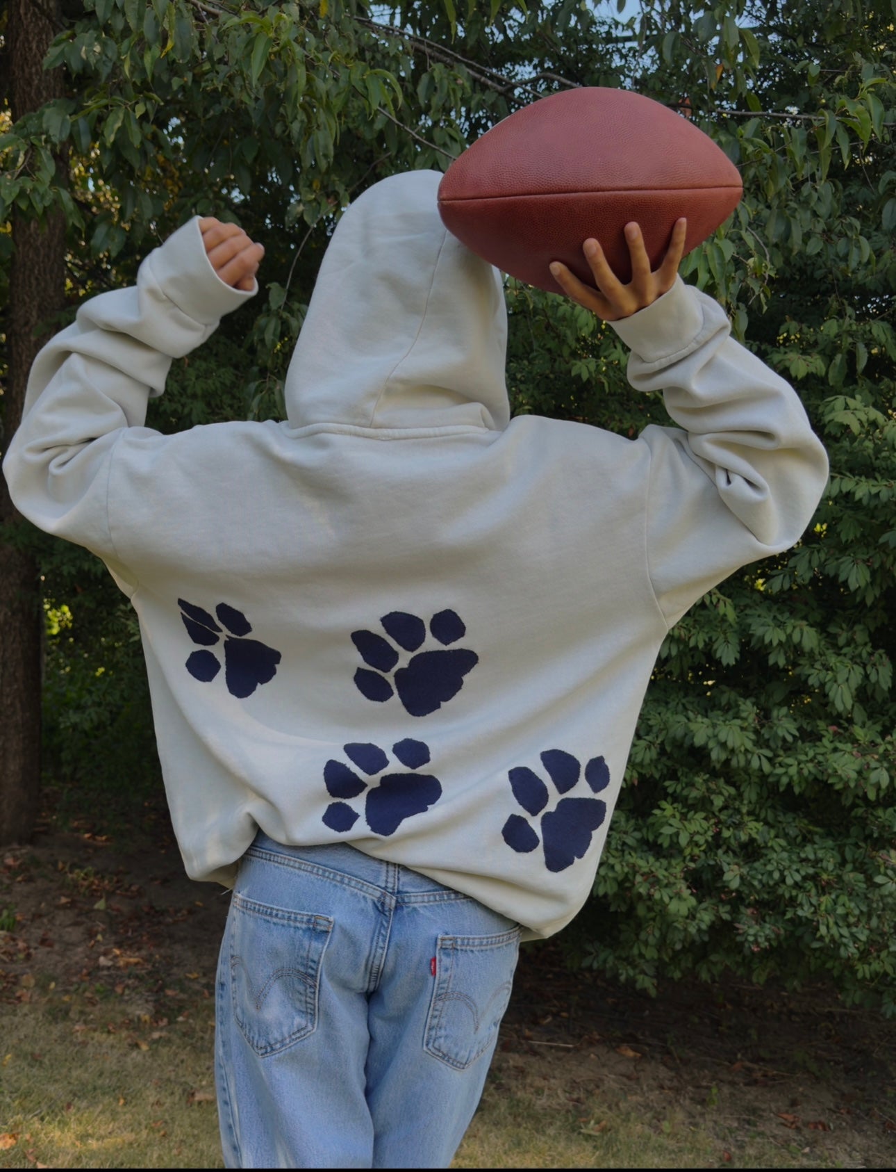 NITTANY LION PENNANT HOODIE