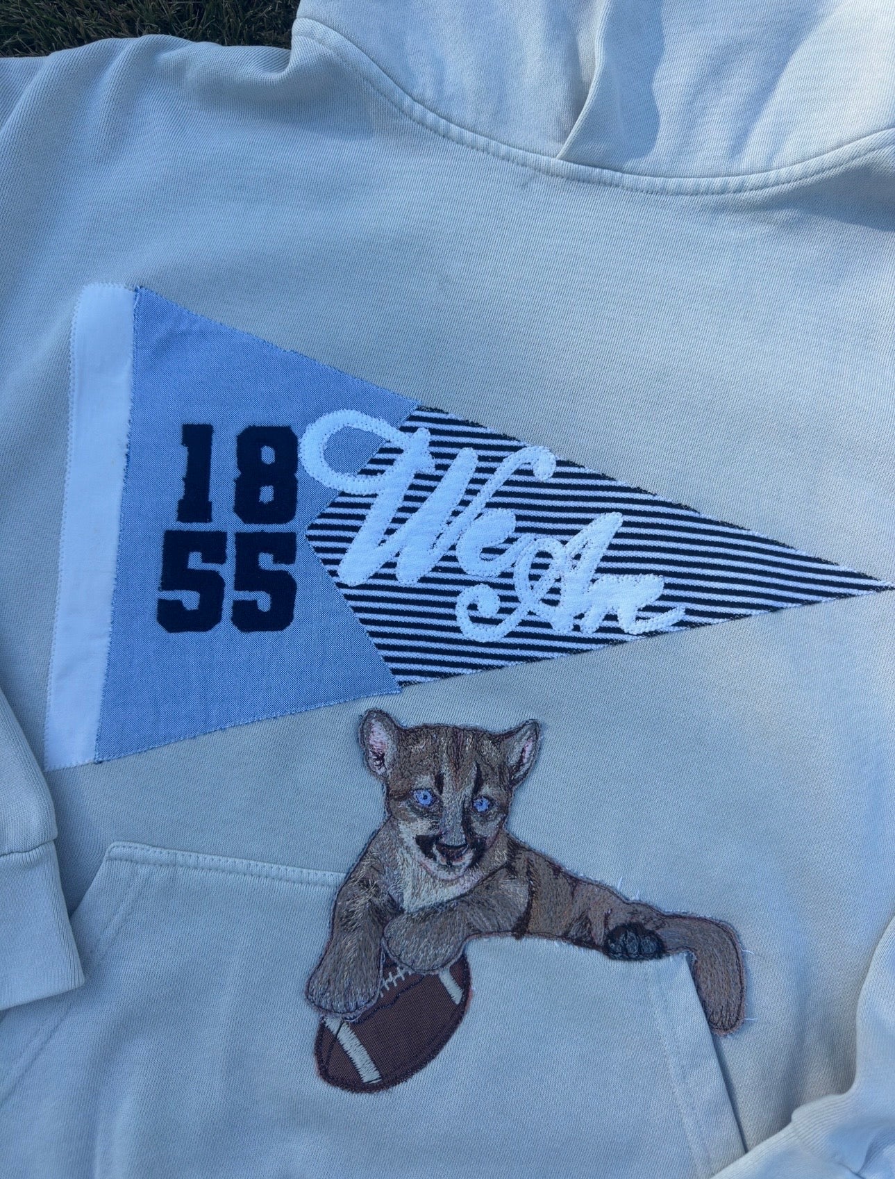 NITTANY LION PENNANT HOODIE